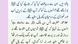 اسلامی معلومات 459