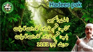 Atonement of sight and kind | نظر اور قسم کا کفارہ | Unlocking the Wisdom of Hadith with Aqeel |