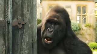 drdolittle