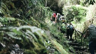 "Wildlife Wonders: A Journey Through the Jungle"