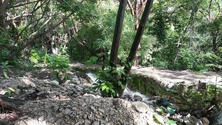 "Lost in the Jungle: An Incredible Survival Story"