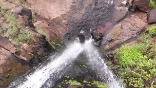 "Jungle Tales: Adventures in the Rainforest"