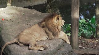 "Expedition X: Lost in the Heart of the Jungle"