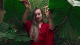 "Wonders of the Wild: Jungle Chronicles"