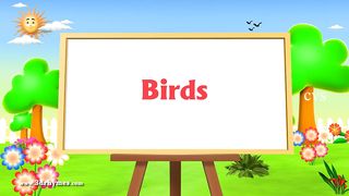 Learn English Birds Names - 3D Animation Preschool Nursery rhymes for children.