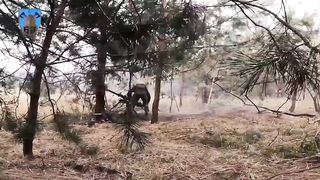 Ukraine Russia War | 63rd Mech Brigade's Bombardment of Russian Positions East of Torske Vi | RCF