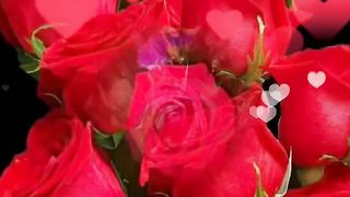 SOME BEAUTIFUL FLOWERS.