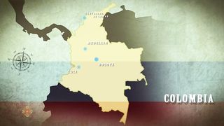Biodiversidad colombia depatamento del choco
