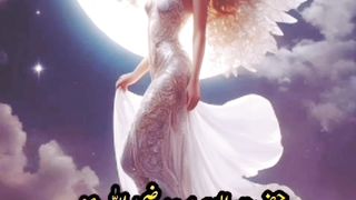 Will men in paradise have saxual life with Al Hoor Aliyn? |کیا جنت میں ہمبستری ہوگی؟