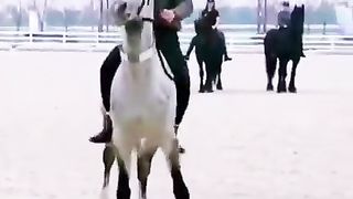 tremendous horse and mother