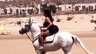 Le cheval doit souffrir