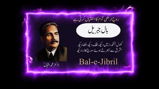 Allama Iqbal urdu Shayari from |bal-e-jibreel|urdu shayari ||urdu poetry ||Hamraaz o Humsukhen