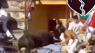 The revenge of the Taurus - The Corrida turns to drama