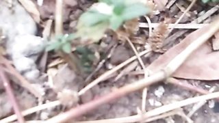 Animal's lover 324