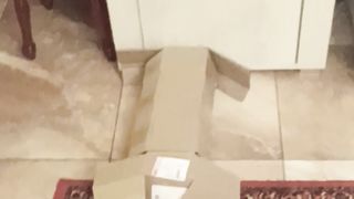 Китти Лулу-развлекается