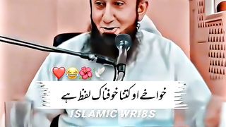 Molana tariq jameel 13