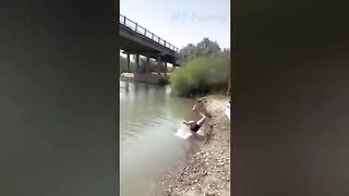 Tik Tok Funny Videos