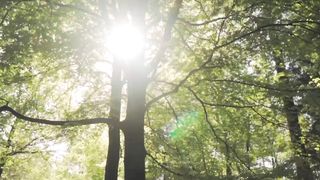 Natura 2