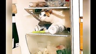 Приколи 488