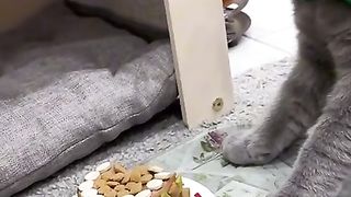 Приколи 489