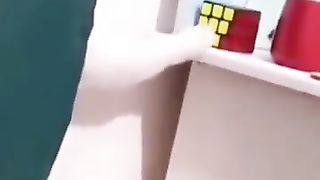 Funny cat 240