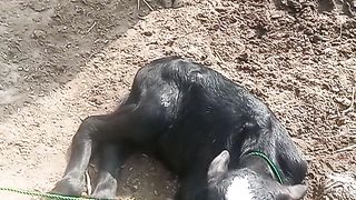 Excellent 14