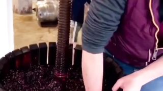 Pure wine????????