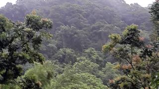 Natureza bom de mais