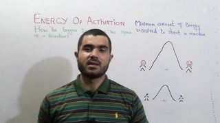 Biology lecture 4