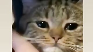Sad video 36