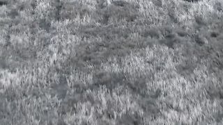Ukraine Russia War | Russians Playing Dead Fail to Trick Ukrainian Drone Operator | RCF