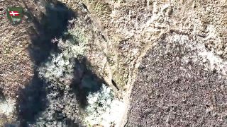 Ukraine Russia War | 14th Mech Brigade Hits Dozen Russians with Drone-Dropped Grenades | O | RCF