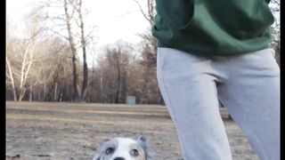 Crazy Dog Playing by Lovely and Wonderful way