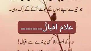 Mirza Ghalib & Allama Iqbal