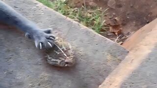 UNUSUAL MEMES COMPILATION V3 2