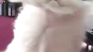 cat with amazing hair