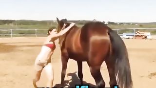 This Horse has 200 IQ ❤