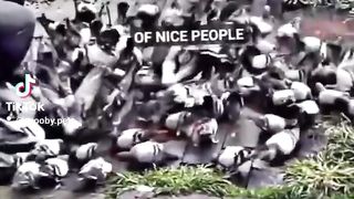Good video 70