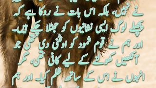 Qom e Samood | Quotes | Quran Translation