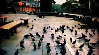 Raston Ka Haq Ada Karo???????? #youtube #viral #shorts #hadees.
