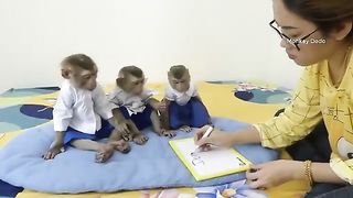 Three Adorable Very Patient When Learn To Write Their Name With Mom In English