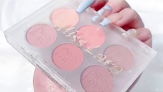 blusher kit