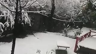 Gilgit Baltistan summar season