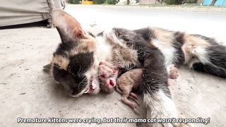 After the accident, she was left on the side of the road, no one stopped the car to help her