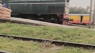 Train lover shorts