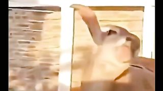 Try not to laugh 59