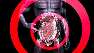 Eat These Foods Every Day to Improve Your Gut Health Naturally