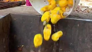 Cook for happy