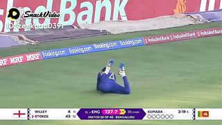 Stocks gone wicket for Sri Lanka