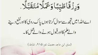اسلامی معلومات 466